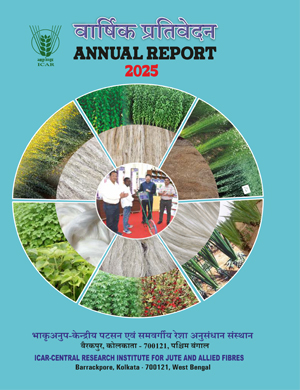 Annual Report 2025