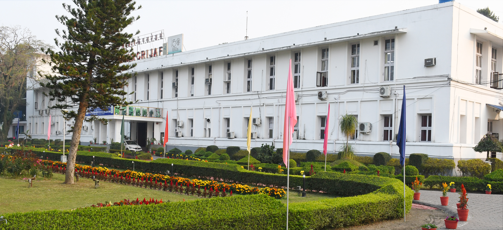 CRIJAF Building